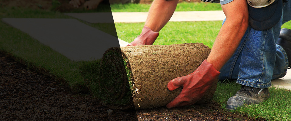 Springfield Landscapers